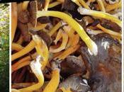 Excursión Serra Queralt: descubriendo Baga Pere Sastre camagrocs Berguedà