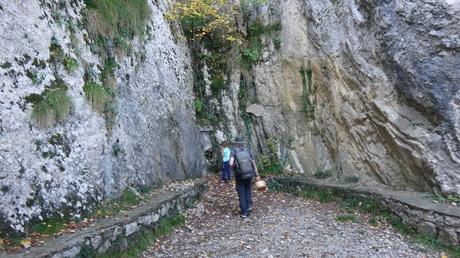 Excursión por la Serra de Queralt: descubriendo la Baga de Cal Pere Sastre y sus camagrocs | El Berguedà