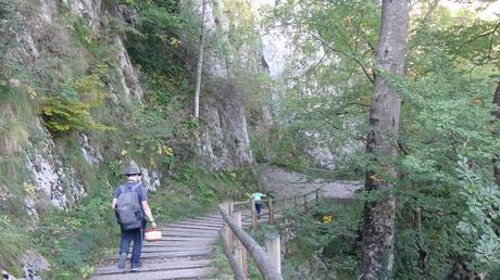 Excursión por la Serra de Queralt: descubriendo la Baga de Cal Pere Sastre y sus camagrocs | El Berguedà