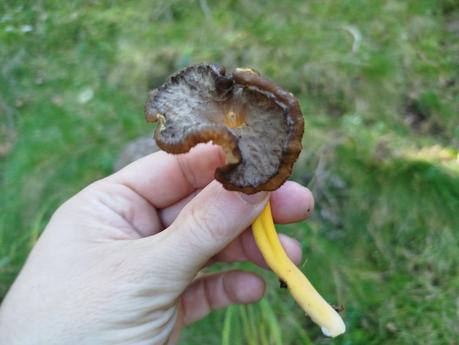 Excursión por la Serra de Queralt: descubriendo la Baga de Cal Pere Sastre y sus camagrocs | El Berguedà