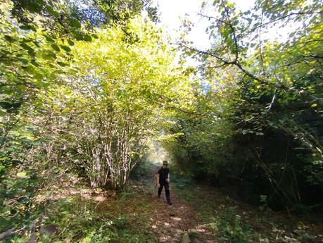 Excursión por la Serra de Queralt: descubriendo la Baga de Cal Pere Sastre y sus camagrocs | El Berguedà