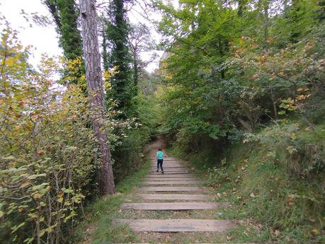 Excursión por la Serra de Queralt: descubriendo la Baga de Cal Pere Sastre y sus camagrocs | El Berguedà