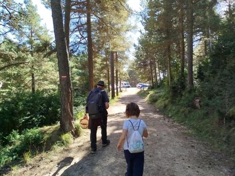Descubre el Pla de l’Estany desde el Santuari de Corbera: bosques, vistas y setas en el Berguedà