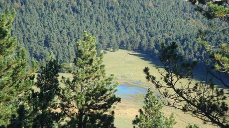 Descubre el Pla de l’Estany desde el Santuari de Corbera: bosques, vistas y setas en el Berguedà