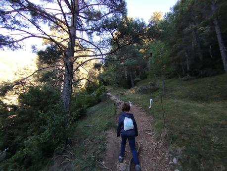 Descubre el Pla de l’Estany desde el Santuari de Corbera: bosques, vistas y setas en el Berguedà