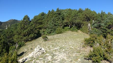 Descubre el Pla de l’Estany desde el Santuari de Corbera: bosques, vistas y setas en el Berguedà