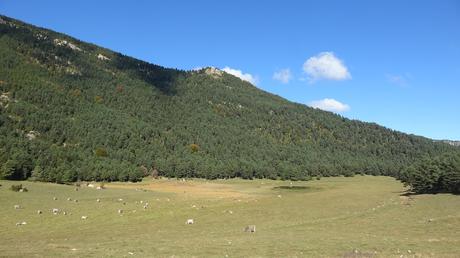 Descubre el Pla de l’Estany desde el Santuari de Corbera: bosques, vistas y setas en el Berguedà