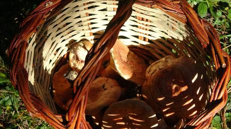 Descubre el Pla de l’Estany desde el Santuari de Corbera: bosques, vistas y setas en el Berguedà