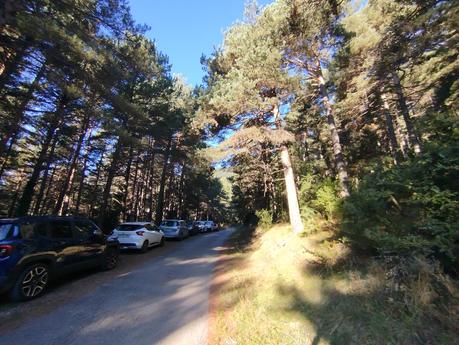 Descubre el Pla de l’Estany desde el Santuari de Corbera: bosques, vistas y setas en el Berguedà