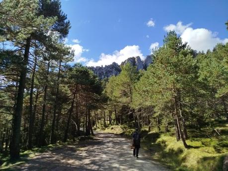 Descubre el Pla de l’Estany desde el Santuari de Corbera: bosques, vistas y setas en el Berguedà