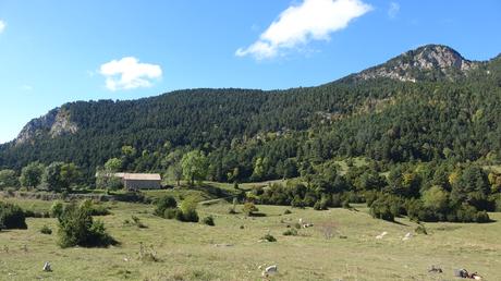 Descubre el Pla de l’Estany desde el Santuari de Corbera: bosques, vistas y setas en el Berguedà