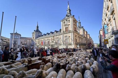 Expertos internacionales abordan «retos» del desarrollo de nuevas terapias para tratar el dolor crónico