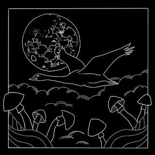 Avenave - Avenave (2025) Avenave - Avenave (2025)