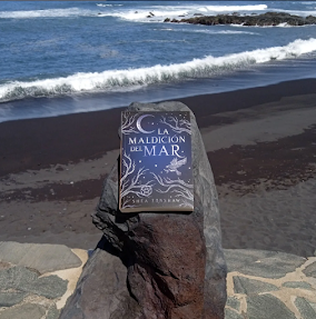 Visto en las redes 74#