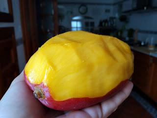 FLAN DE HUEVO CON MANGO