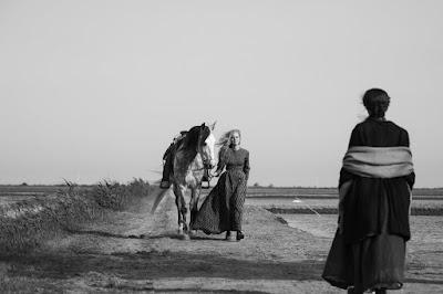 Elisa y Marcela + Dos cuentos: Elisa e Marcela + Rosalía de Castro Elisa y Marcela + Dos cuentos: Elisa e Marcela + Rosalía de Castro