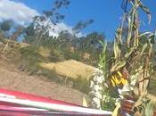 Virgen María Santa Isabel Huaylas: cosecha herencia ancestral