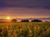 Cabañas mora rubielos