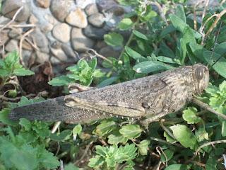 Poco a poco avanzamos. Poco a poco avanzamos.