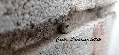 Poco a poco avanzamos.