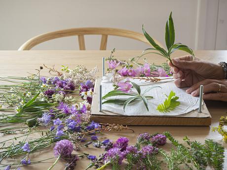 DIY Prensa floral. Cómo hacer una prensa para secar flores y plantas + descargables DIY Prensa floral. Cómo hacer una prensa para secar flores y plantas + descargables