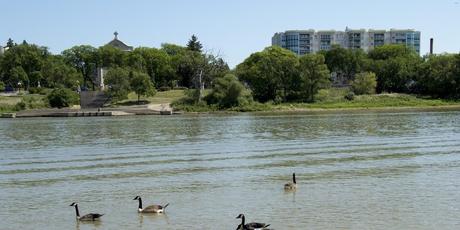 Winnipeg en 7 paradas: La guía turística definitiva para disfrutar Winnipeg Winnipeg en 7 paradas: La guía turística definitiva para disfrutar Winnipeg