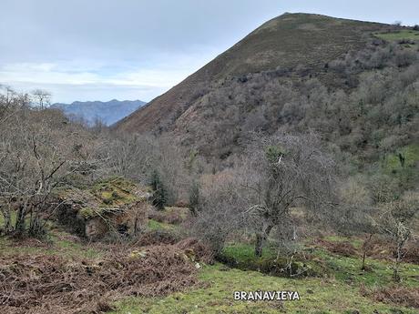 Pesquerín-Picu Torre-Picu Tebrandi-Niañu-Picu la Escoba