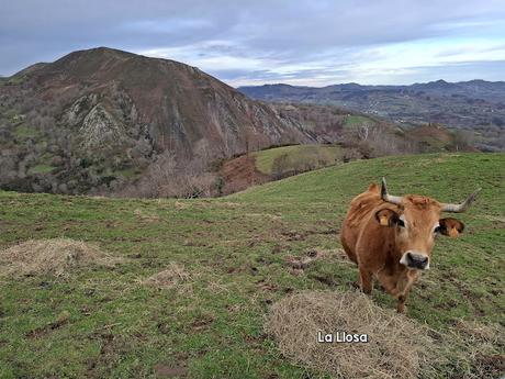 Pesquerín-Picu Torre-Picu Tebrandi-Niañu-Picu la Escoba