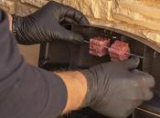 Desratización colegios comunidades; claves control plagas Madrid