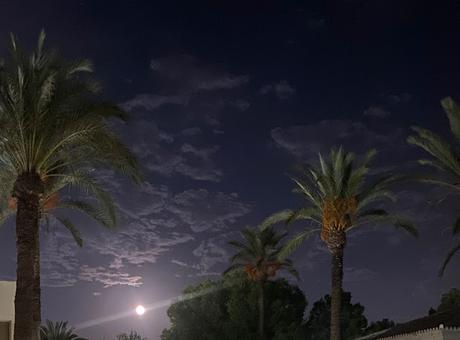 Saliendo de la Universidad Saliendo de la Universidad