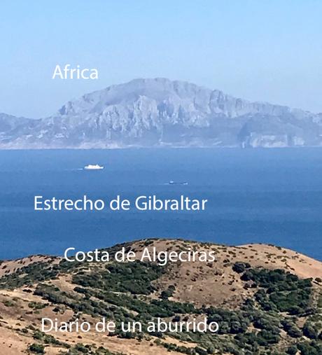 La Reina del Sur de Arturo Pérez Reverte y sus secuelas fílmicas