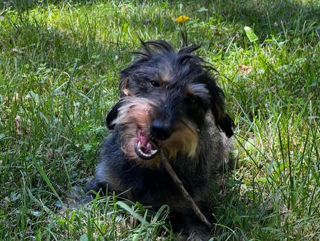 Imagen-de-whatsapp-2025-07-29-a-las-14.42.16_89ae0d15