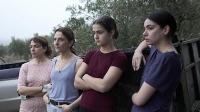 Los tortuga + Lee Miller