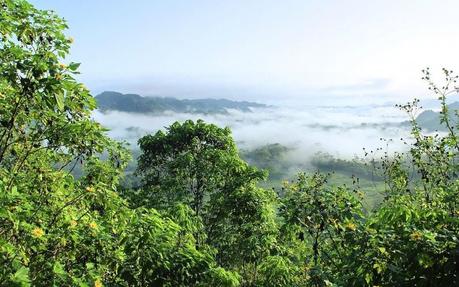 Existen puntos de inflexión positivos y capaces de acelerar la transición hacia un mundo descarbonizado, resiliente y más justo