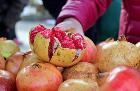 La Agricultura en Elche: Tradición e Innovación en el Camp d’Elx