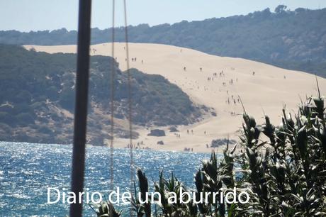 La Reina del Sur de Arturo Pérez Reverte y sus secuelas fílmicas