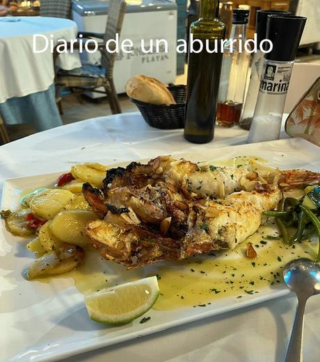 La Reina del Sur de Arturo Pérez Reverte y sus secuelas fílmicas