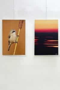 La FAP presenta cinco nuevas exposiciones temporales en Huete este sábado La FAP presenta cinco nuevas exposiciones temporales en Huete este sábado