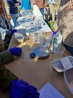 ELABORACIÓN DE JABÓN NATURAL ELABORACIÓN DE JABÓN NATURAL