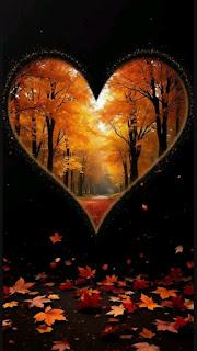 6.362 - EL DÍA GRIS... 6.362 - EL DÍA GRIS...