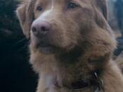 thriller paranormal Good estrena Chile este octubre