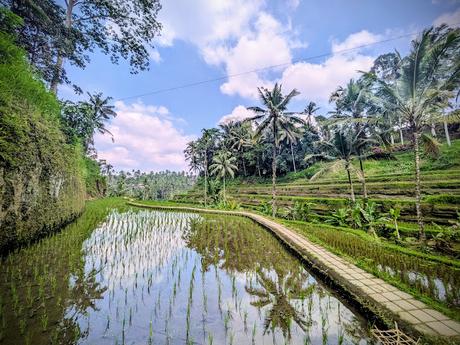 Día 2 en Ubud – Templos y paisajes del corazón de Bali Día 2 en Ubud – Templos y paisajes del corazón de Bali