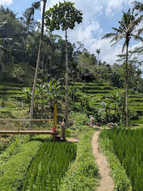 Día 2 en Ubud – Templos y paisajes del corazón de Bali Día 2 en Ubud – Templos y paisajes del corazón de Bali