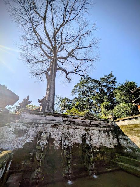 Día 2 en Ubud – Templos y paisajes del corazón de Bali Día 2 en Ubud – Templos y paisajes del corazón de Bali