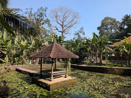 Día 2 en Ubud – Templos y paisajes del corazón de Bali Día 2 en Ubud – Templos y paisajes del corazón de Bali