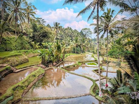 Día 2 en Ubud – Templos y paisajes del corazón de Bali Día 2 en Ubud – Templos y paisajes del corazón de Bali