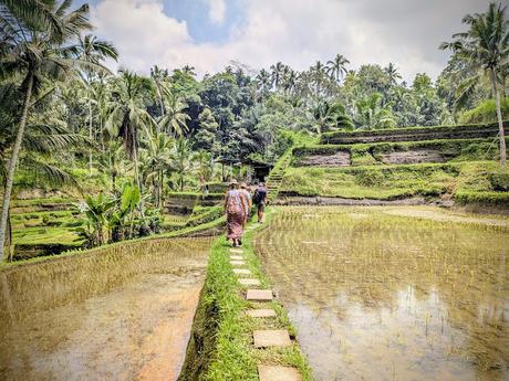 Día 2 en Ubud – Templos y paisajes del corazón de Bali Día 2 en Ubud – Templos y paisajes del corazón de Bali