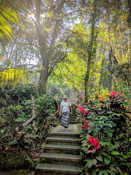 Día 2 en Ubud – Templos y paisajes del corazón de Bali Día 2 en Ubud – Templos y paisajes del corazón de Bali