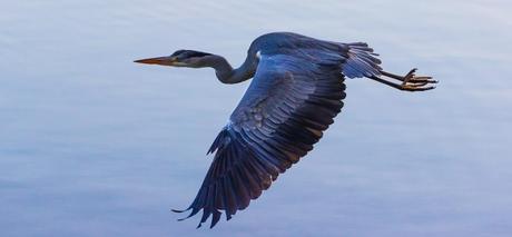 5 consejos para hacer el descenso del Sella por primera vez