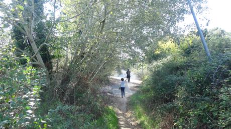 Ruta por la Serra de Galliners: ascendiendo al Turó de Mataric y al Turó de Can Camps | Sant Cugat del Vallès Ruta por la Serra de Galliners: ascendiendo al Turó de Mataric y al Turó de Can Camps | Sant Cugat del Vallès